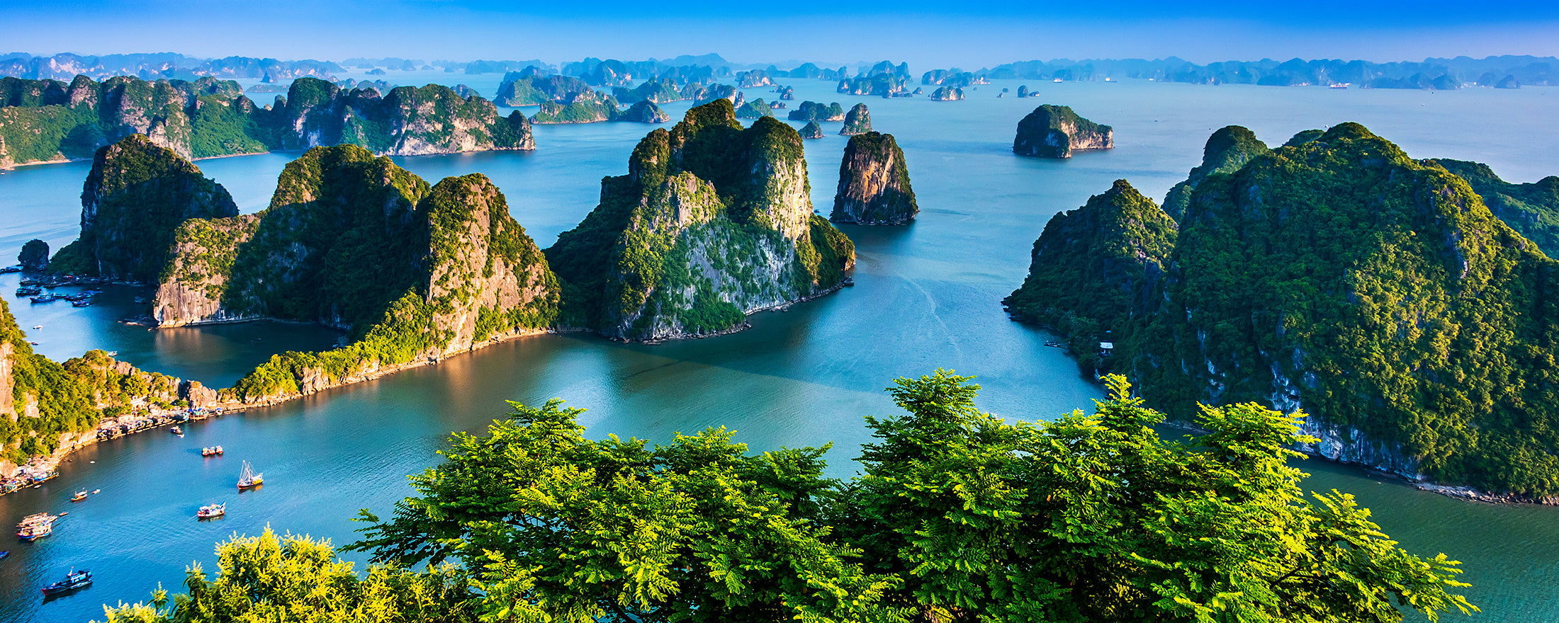 Vietnam - Unlimited Data eSIM