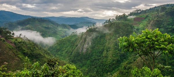 Democratic Republic of Congo - Data eSIM